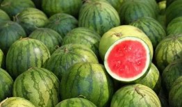 世界同台吃瓜网红,共享“吃瓜”盛宴